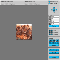 Click here to create your own mobile phone wallpaper!